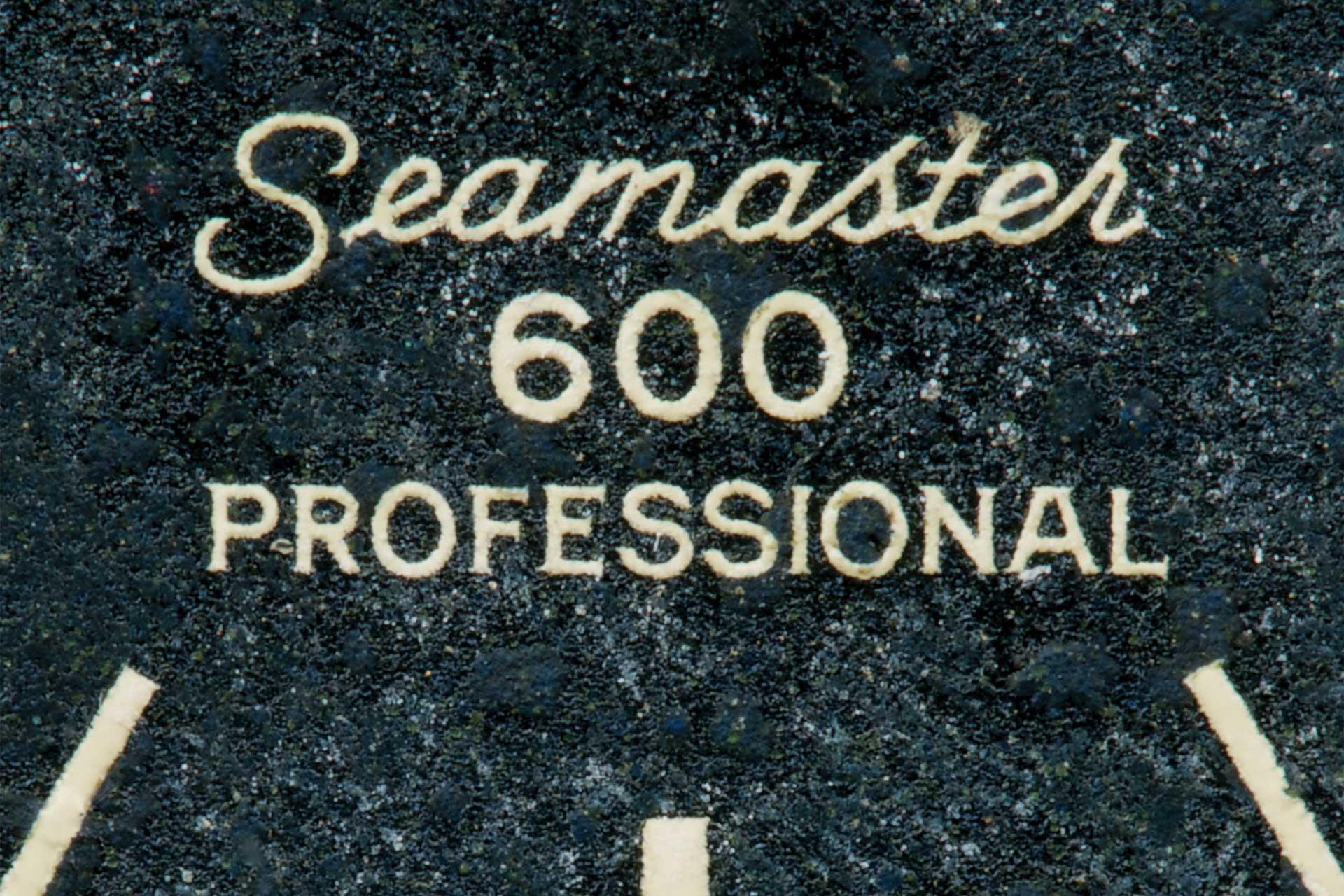 Seamaster 600 professional