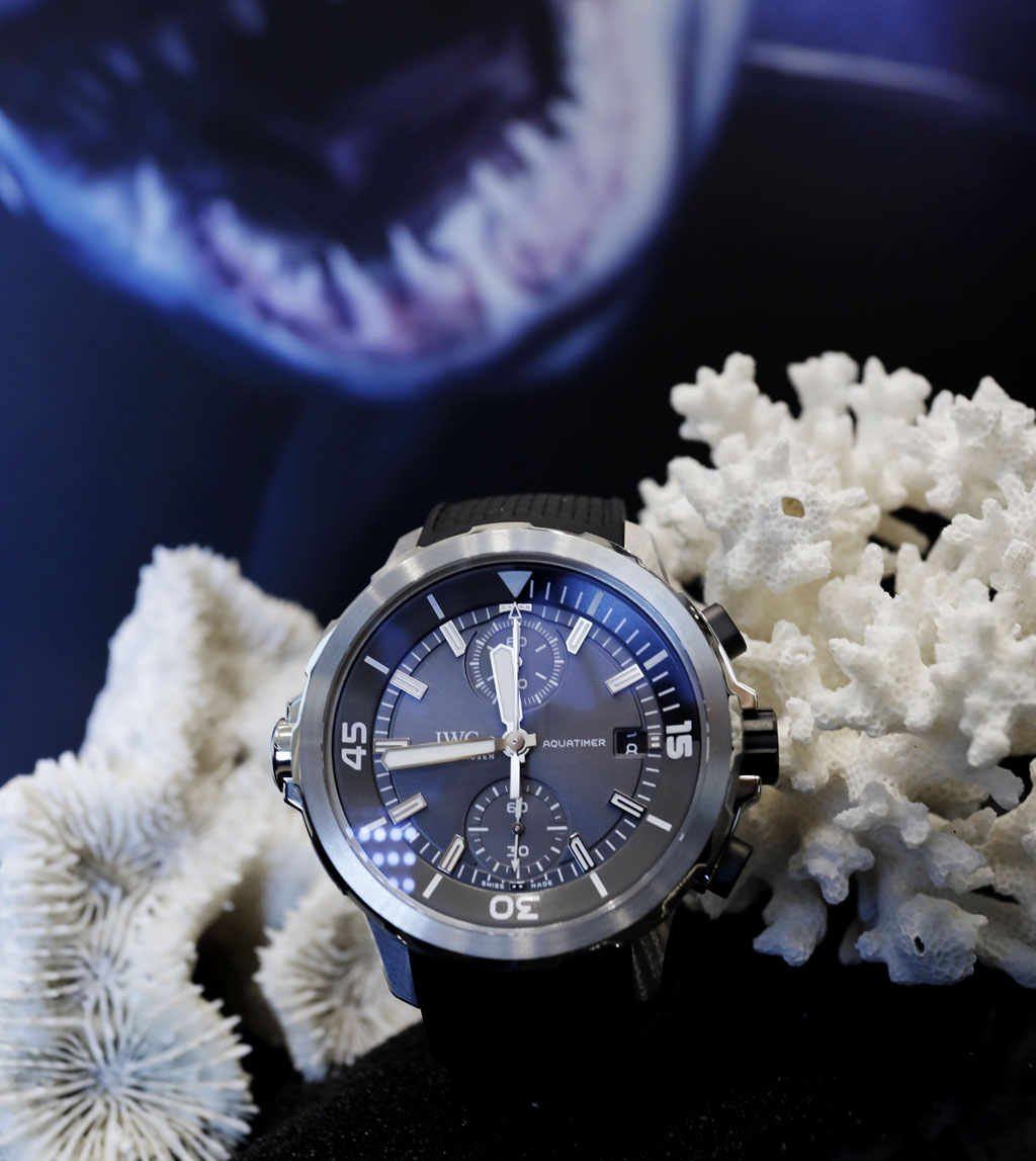 Aquatimer Chronograph Edition Sharks